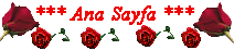 oyun.gif (5661 bytes)